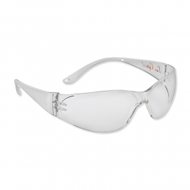 Workshop Schutzbrille